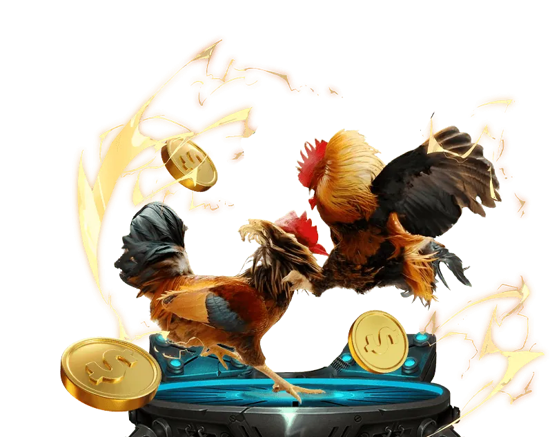 Giao diện người dùng của nền tảng 888p30 Đăng Nhập hiển thị các tùy chọn cá cược đá gà